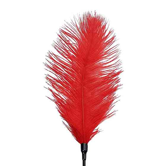 Щекоталка со страусиным пером Art of Sex – Feather Tickler, красная Sex Aura Киев