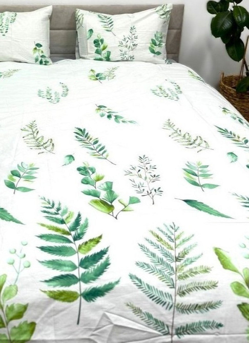 Ecotton Комплект постільної білизни Ecotton двоспальний Сімейний 150х215 см сатин Папороть біла Коломия - фото 4
