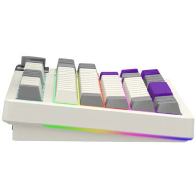 Клавіатура Lorgar KBP70TKLW Wireless TKL Mechanical Pro UA Beige (LRG-KBP70TKLW-RT-US) Вінниця - фото 11