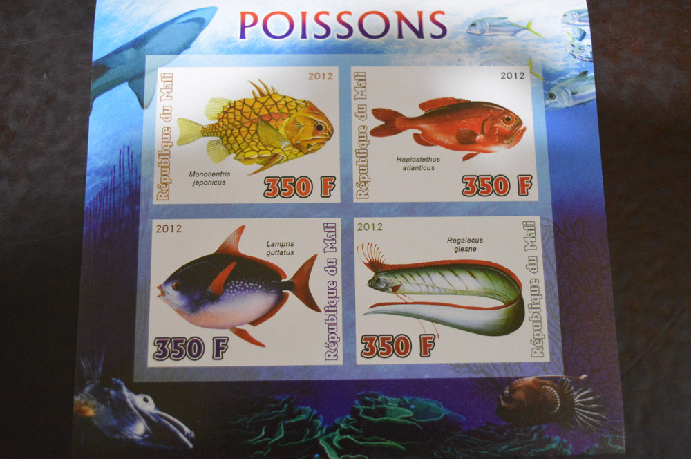 Мали. Фауна. Блок. 2014 год (А-20) Полтава - изображение 1