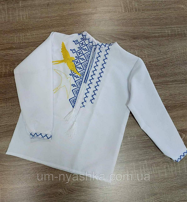 Хлопчача вишиванка "Ластівки" Кривий Ріг - фото 1