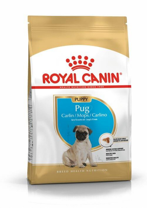 Royal Canin Pug Puppy (Рояв Канін Мопс Паппі) сухий корм для цуценят 1.5 кг. Запоріжжя - фото 1
