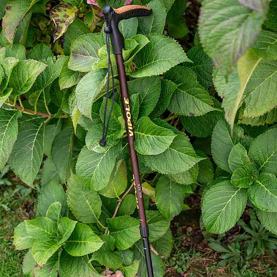 Палка трекинговая Vipole Walker (S25 22) Вінниця