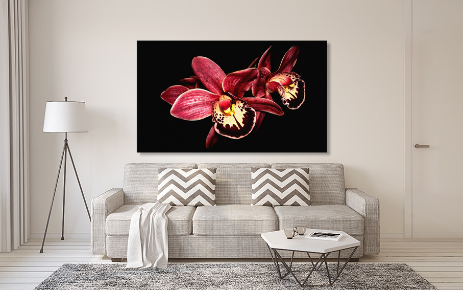 Картина холст в гостиную / спальню Орхідея    MLP_99 40x80 см Киев - изображение 2
