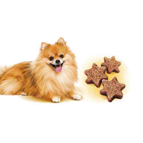 Ласощі Brit Care Mini Treats Shine для собак малих порід для блискучої шерсті лосось 50 г Київ