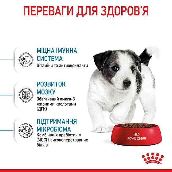 Ryal Canin Mini Puppy (Рояв Канін Міні Паппі) сухий корм для цуценят дрібних порід 2 кг. Запоріжжя