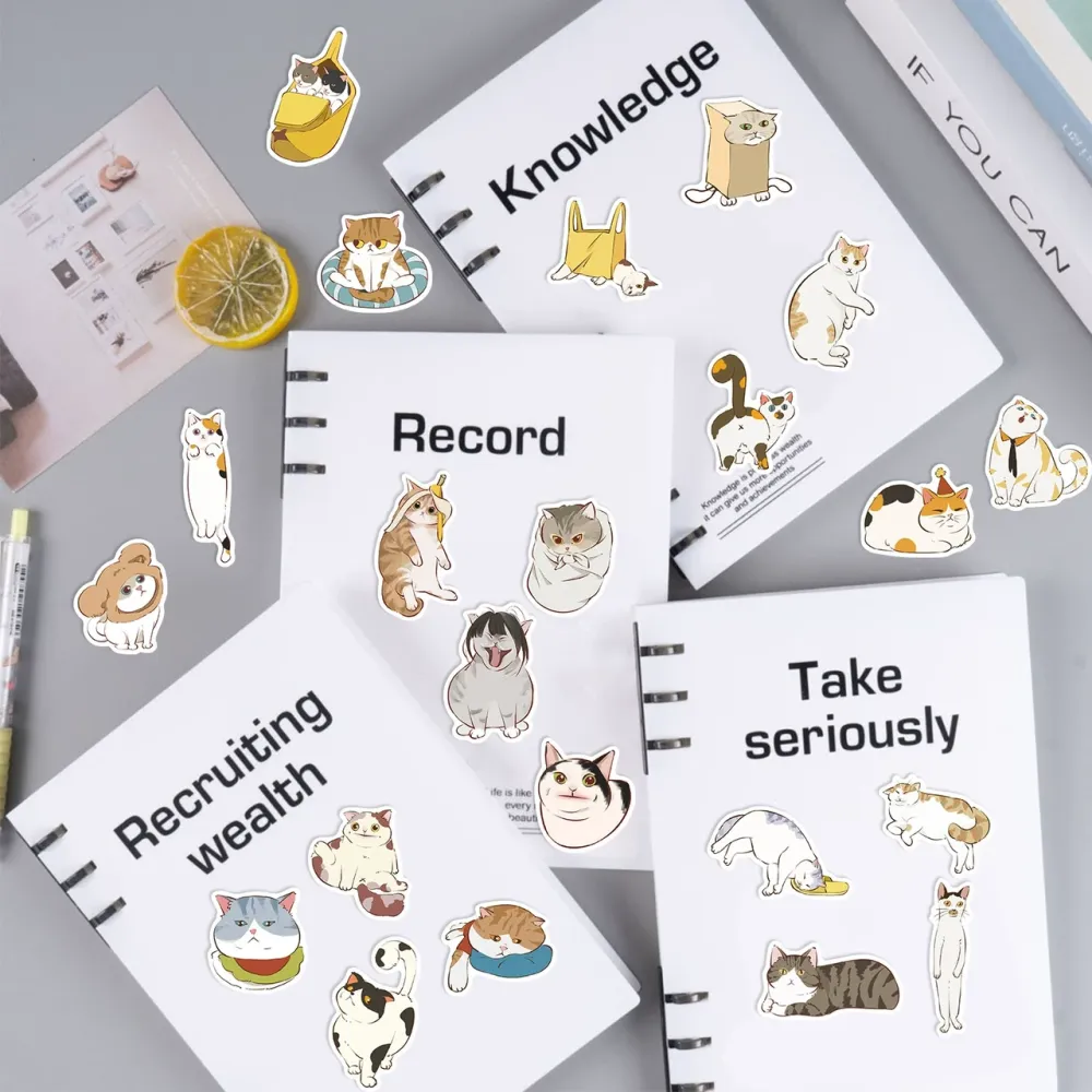 Набор виниловых наклеек 