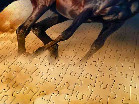 Пазл Коні, що біжать пустелею - Horses Running in the Desert (Enjoy-1356) Киев