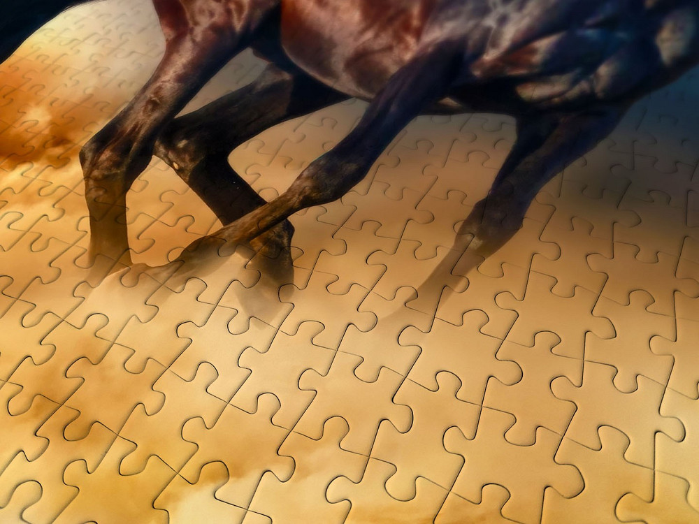 Пазл Коні, що біжать пустелею - Horses Running in the Desert (Enjoy-1356) Киев - изображение 2