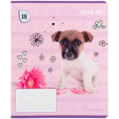 Зошит Kite Rachael Hale, 18 аркушів, клітинка (R25-236) Вінниця