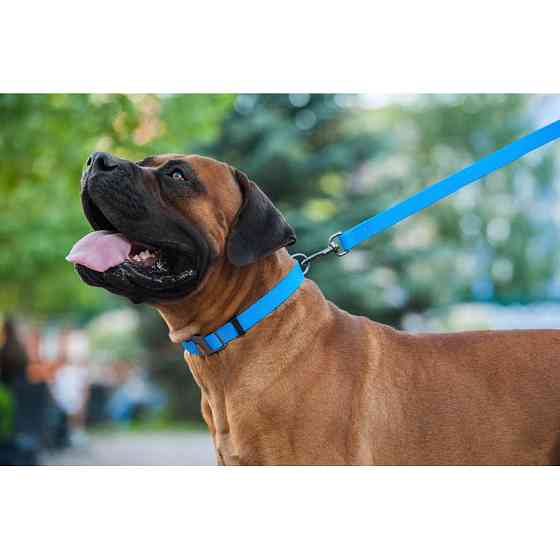 Повідець для собак водостійкий WAUDOG Waterproof, S, Ш 15 мм, Дов 183 см блакитний Коломыя