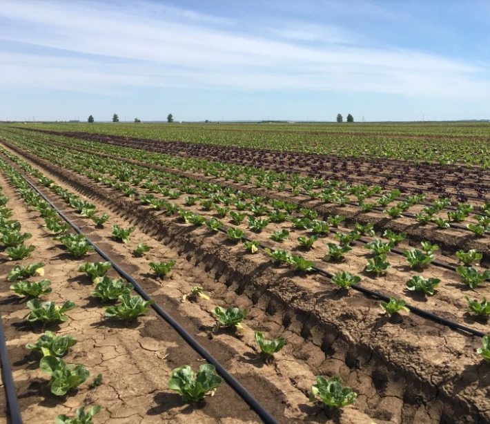 Эмитерная лента 7 mil шаг 30 см бухта 500 метров капля Shadow Днепр - изображение 9