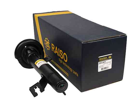 Амортизатор передній лівий Raiso (Швеція) Ford Fusion, Форд Фьюжн 2002-2012 #RS314677 UASSJBF22 Ковель