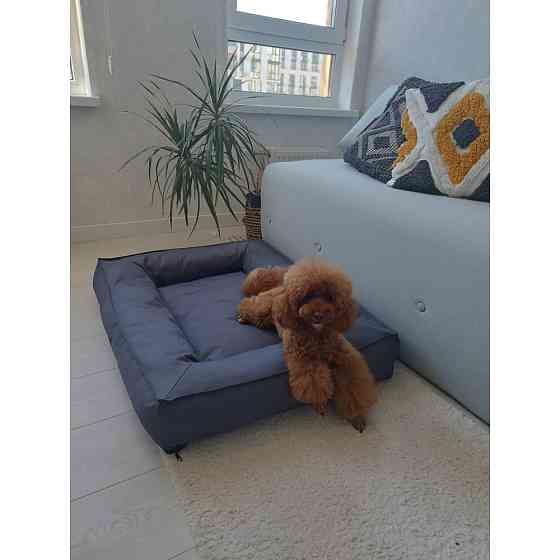 Водонепроникний лежак лежанка спальне місце для тварин зі знімним чохлом графіт M (75см) Київ