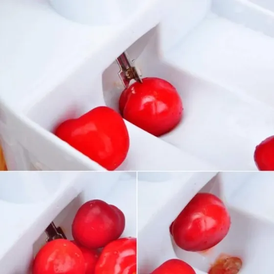 Машинка для удаления косточек Cherry seed WB-1260 для вишни, черешни и оливок, удобная, с контейнеро Киев