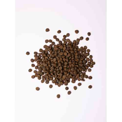 Корм сухий Savory Small Breeds rich in Fresh Lamb для дорослих вибагливих собак малих порід до 10 кг зі свіжим ягням 8 кг Київ