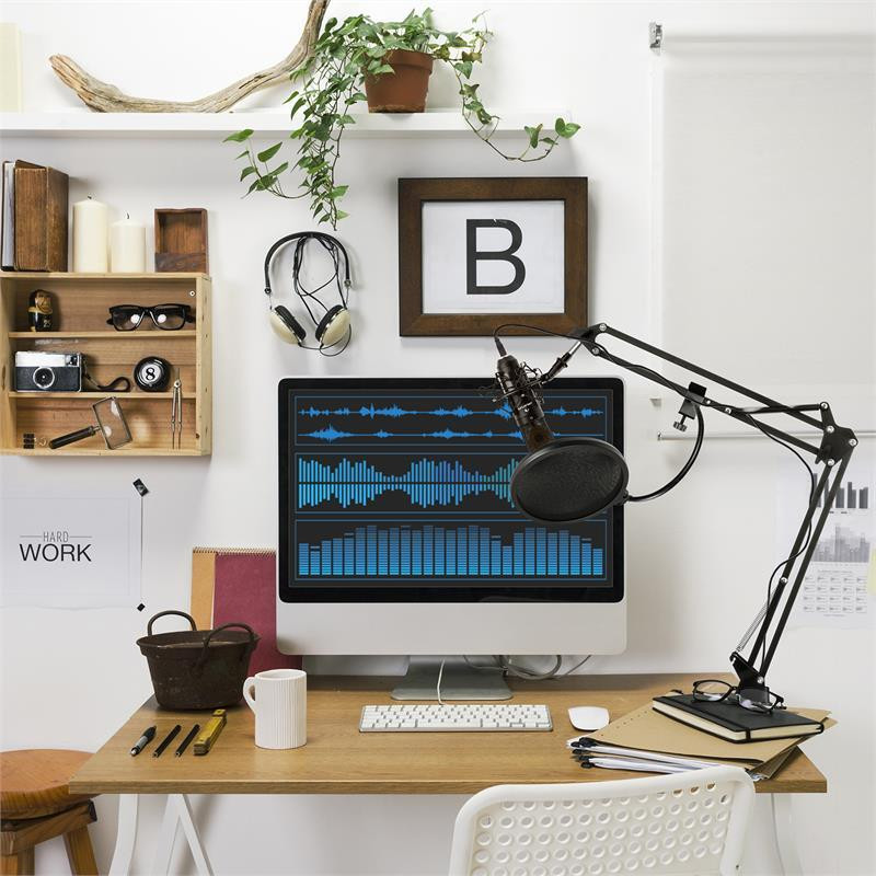 MIC-920B Комплект USB-микрофонов V4 Конденсаторный микрофон Микрофонная штанга Поп-экран (Германия, читать Ровно - изображение 2