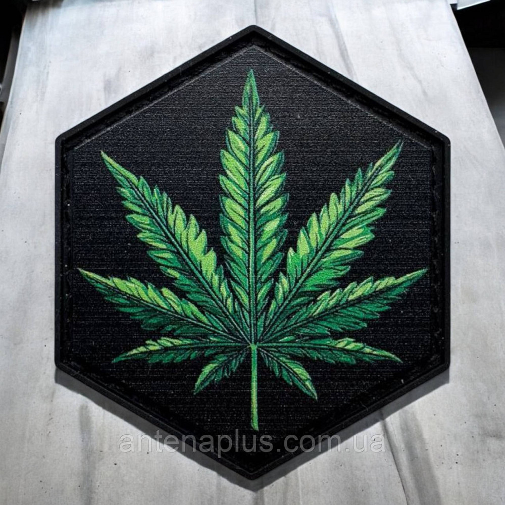 Конопля патч / шеврон Киев - изображение 1