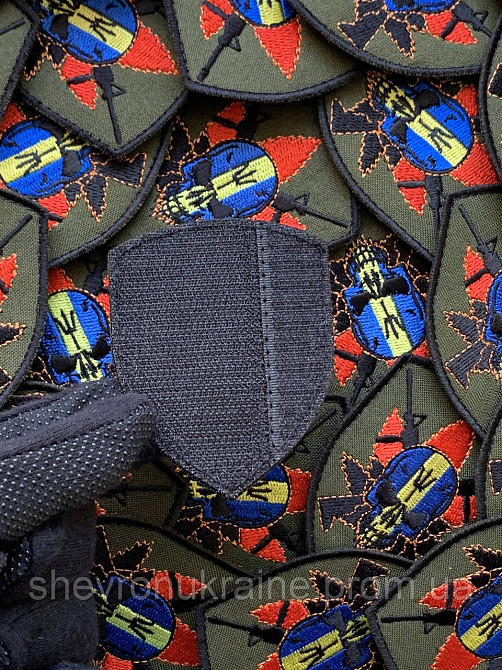 Шеврон Черепок (Форма щит. На липучці) Розмір 8x6см Київ - фото 7