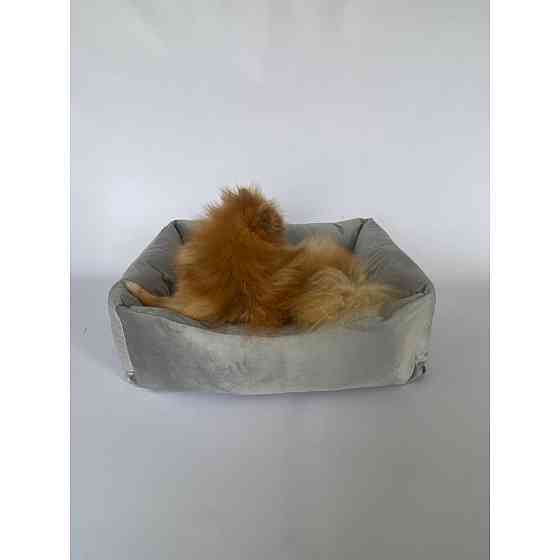 Лежанка для домашніх тварин собак та кішок велюр Incor Сірий 10041 M (60/50/18) Киев