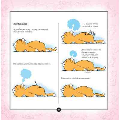 Книга Котосутра. Нявська насолода - Клер і Крістіан Ґоден Vivat (9786171701588) Вінниця