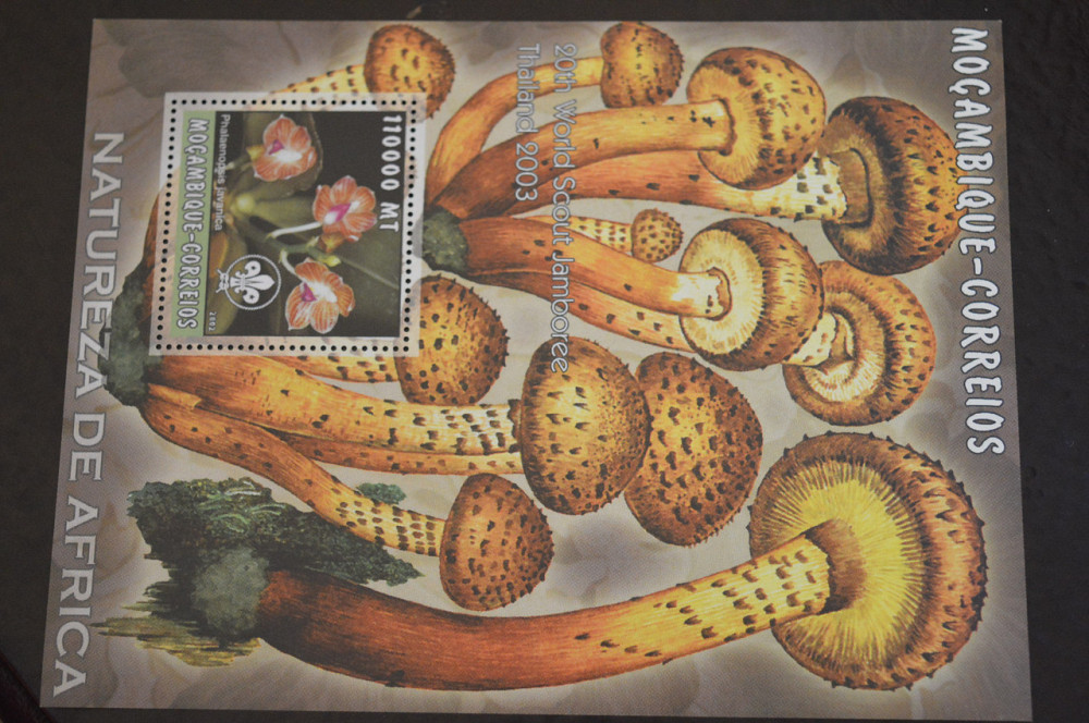 Мозамбик. Фауна. Блок. 2015 год (В-7) Полтава - изображение 1