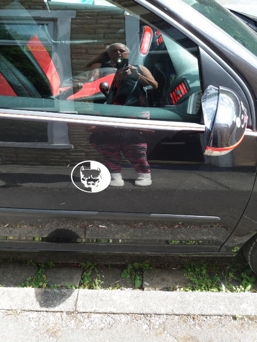 Наклейка на авто Питбуль Большая Чёрная Киев - изображение 5