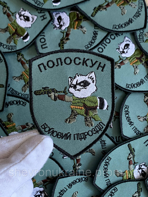 Шеврон ПОЛОСКУН (Форма щит. На липучці) Розмір 9x7см Київ - фото 5