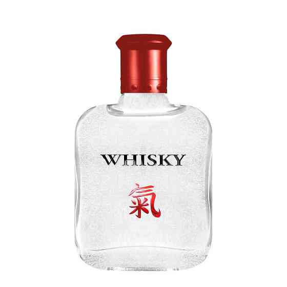 Туалетна вода чоловіча Whisky Spirit Evaflor 100 мл Запоріжжя