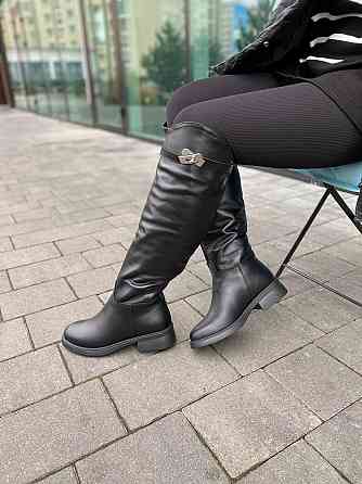 Чоботи жіночі EDAN 177 чорні (зима євро-хутро, шкіра натуральна) (6083) Коломия