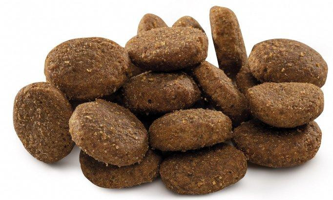 Сухой корм Брит Brit Premium Junior XL для щенков и молодых собак гигантских пород, 3 кг Винница - изображение 2