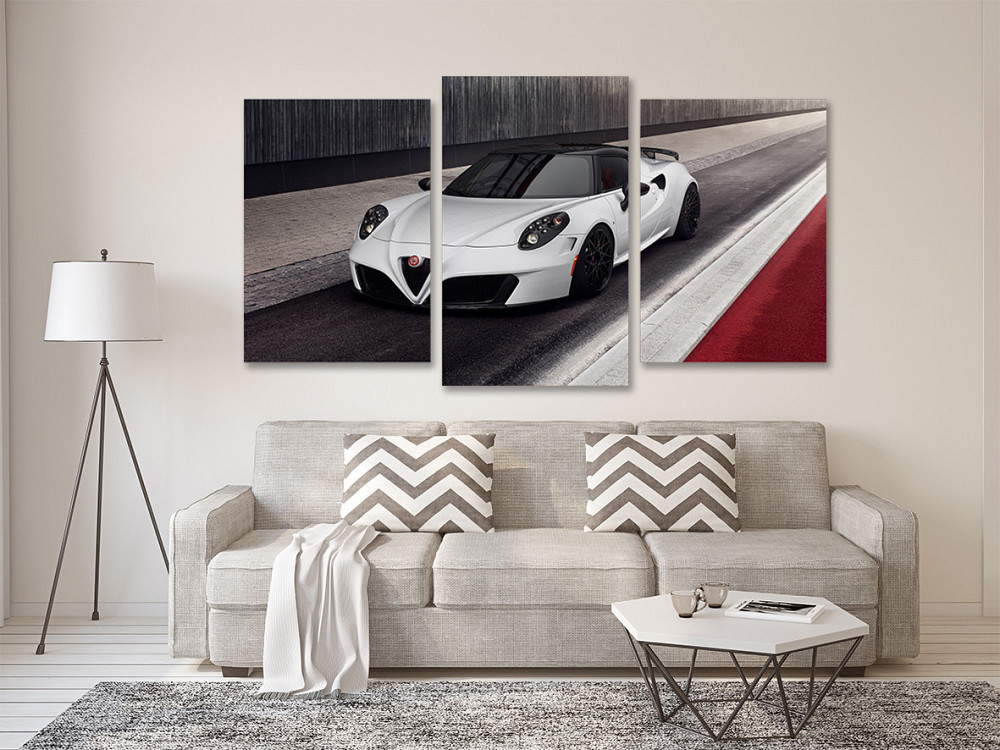 Модульная картина в гостиную / спальню  Біла Машина   Art-649_3 Киев - изображение 2