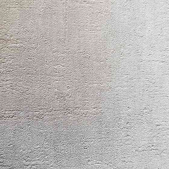 Обои виниловые на флизелине Rasch Factory 0.53х10,05 под штукатурку под бетон структурные светло серые 429237 Киев