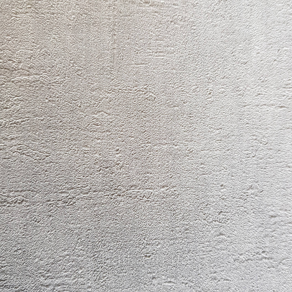Шпалери вінілові на флізелін Rasch Factory 0.53х10,05 під штукатурку під бетон структурні світло сірі 429237 Київ - фото 4