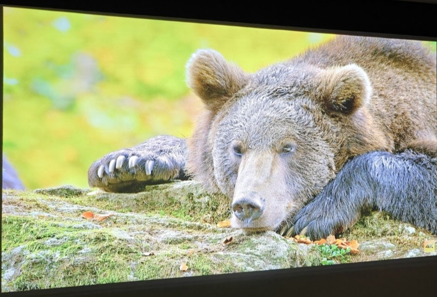 Проектор 4K HDR ViewSonic X10-4K Киев - изображение 2