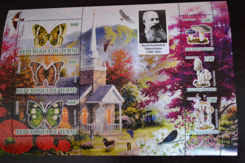 Чад. Фауна. Личность. 2010 год Полтава - изображение 1