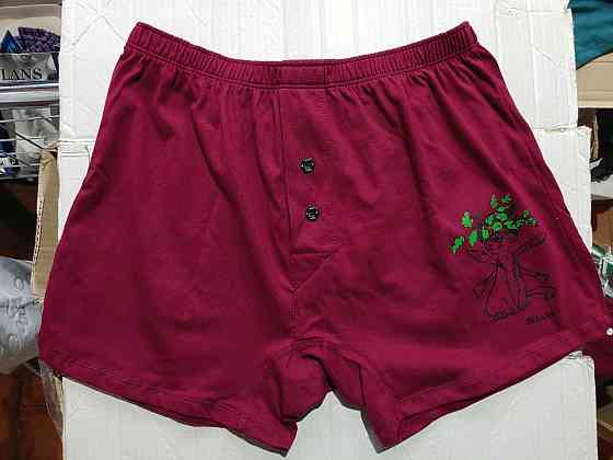 Чоловічі труси сімейні з бавовни Lans 01/021 L, Червоний Киев