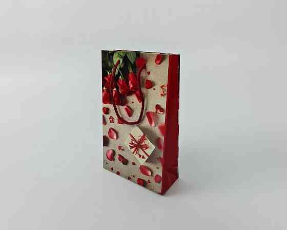 Паперовий пакет подарунковий Середній 17/26/8 (артSV-103) (12 шт.) Харків