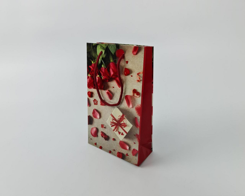 Паперовий пакет подарунковий Середній 17/26/8 (артSV-103) (12 шт.) Харків - фото 4