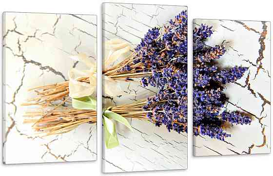 Модульная картина в гостиную / спальню Лаванда Art-620_3 Киев