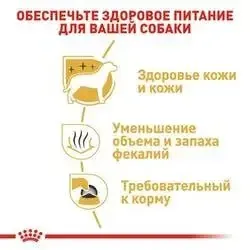 Royal Canin Maltese Adult (Роял Канин Мальтиз Эдалт) сухой корм для собак мальтийская болонка от 10 месяцев 1.5 кг. Запорожье - изображение 3