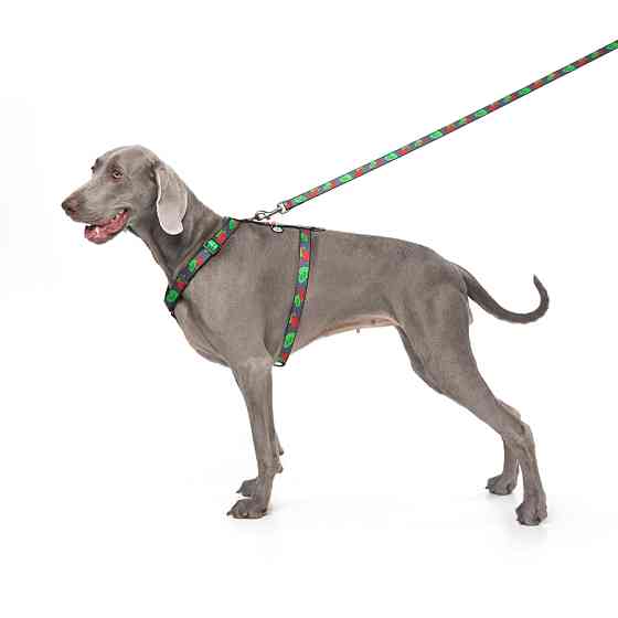 Повідець для собак нейлоновий WAUDOG Nylon, малюнок "Калина", розмір L-ХХL, Ш 25 мм, Д 122 cм Коломия