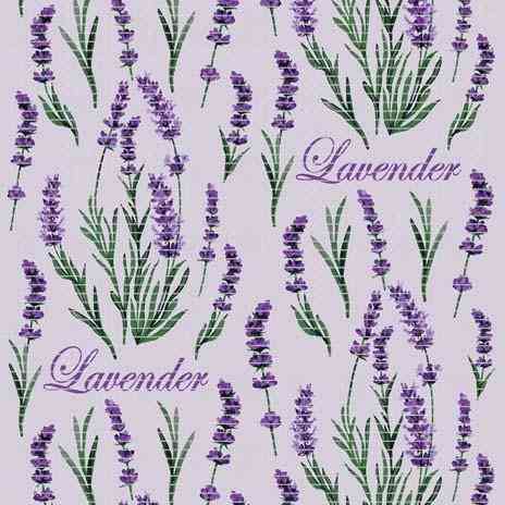 Килимок для ванної кімнати 40х65см Лаванда Dekomarin Харків