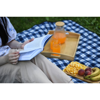 Плед Ardesto Picnic 130х170см, 100% полиэстер, клетка синий (ART0916BC) Винница - изображение 12