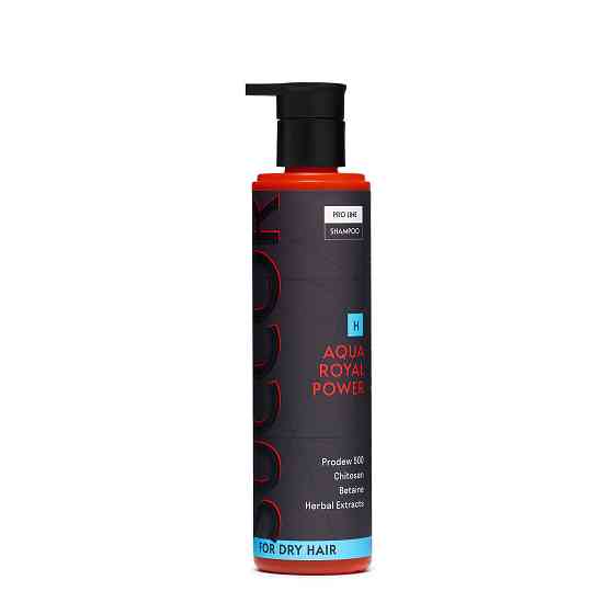 Зволожуючий шампунь для сухого волосся Aqua Royal Power Shampoo Succor 250 мл Київ