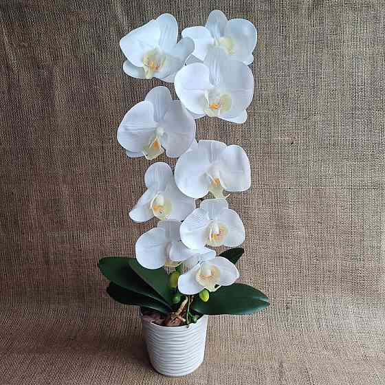 Штучна латексна орхідея VIP у пластиковому кашпо на одну гілку біла Дніпро