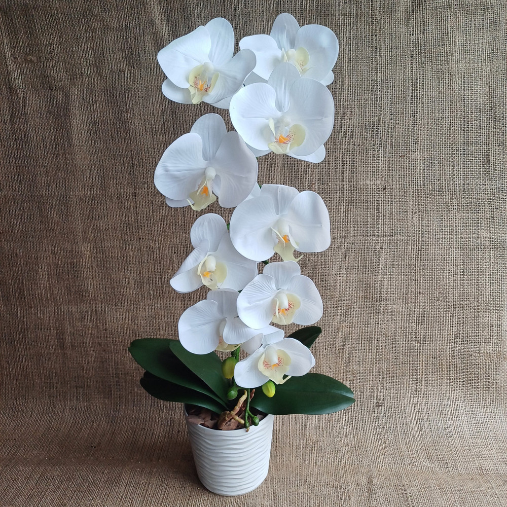 Штучна латексна орхідея VIP у пластиковому кашпо на одну гілку біла Дніпро - фото 1