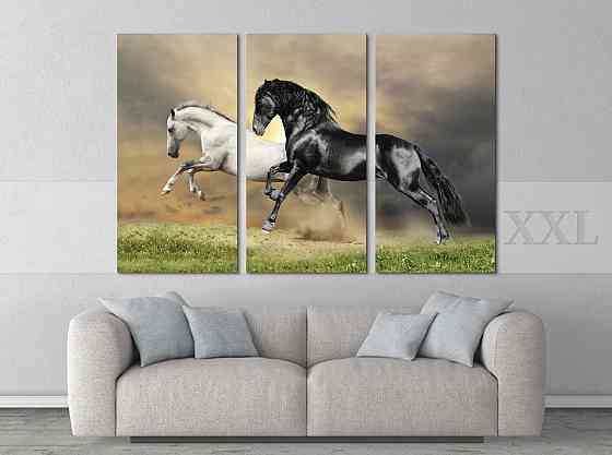 Модульна картина Коні Art-73_XXL Київ