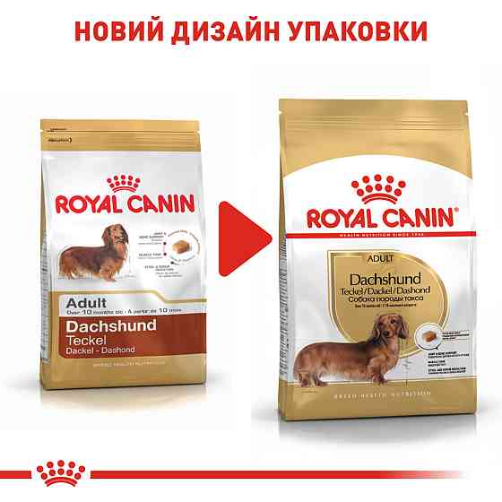 Корм для дорослих собак породи Такса ROYAL CANIN DACHSHUND ADULT 1.5 кг Київ