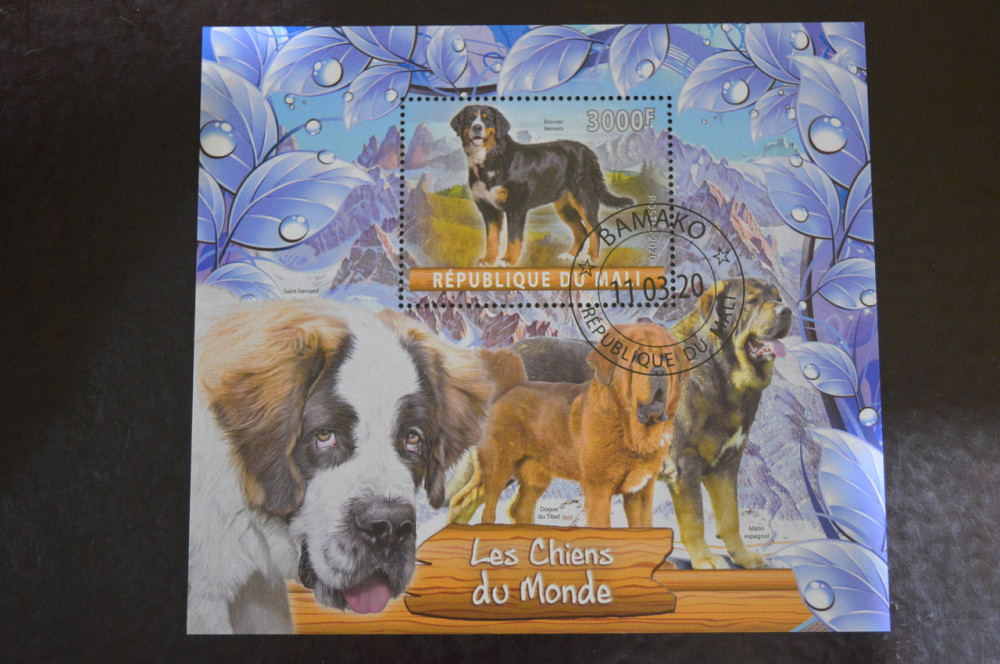 Малі. Марки. Фауна. Блок. 2020 рік (В-4) Полтава - фото 1